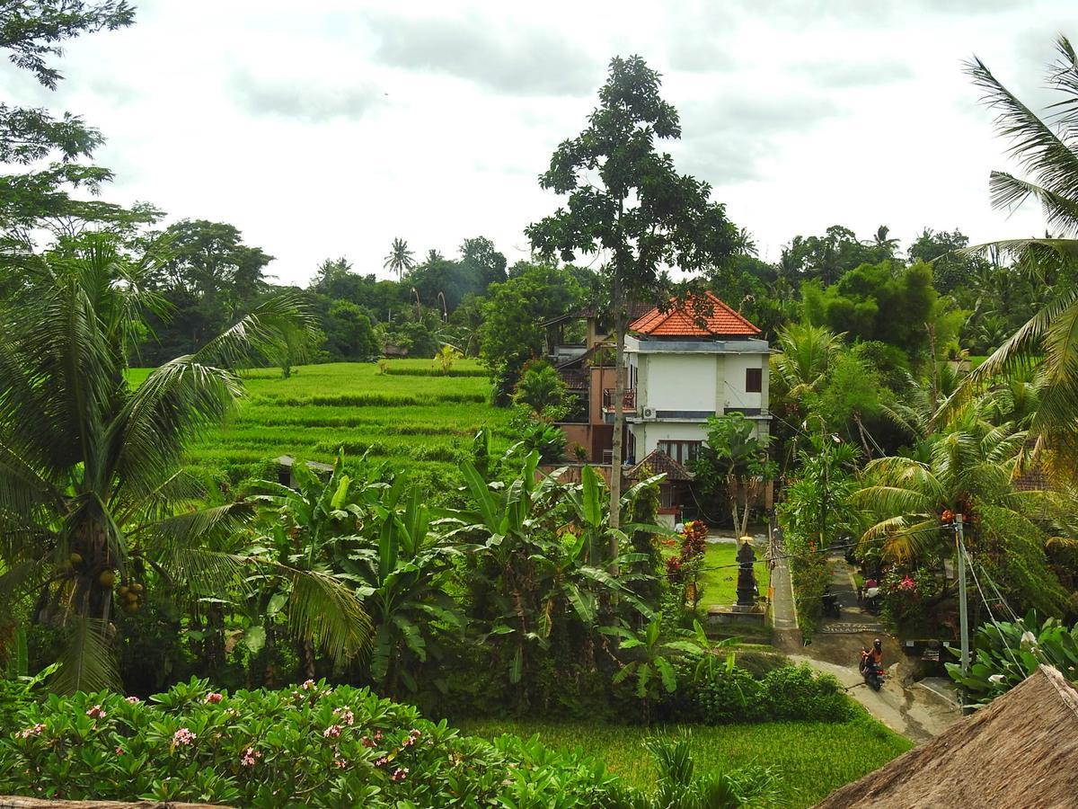 Mandala Hostel Ubud エクステリア 写真