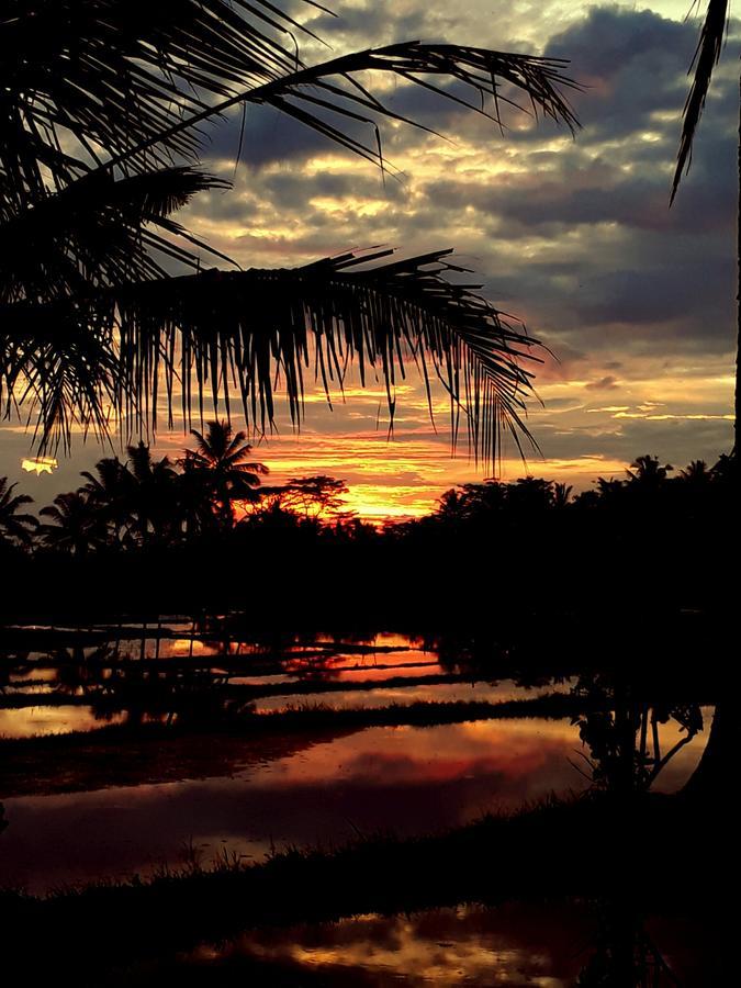 Mandala Hostel Ubud エクステリア 写真
