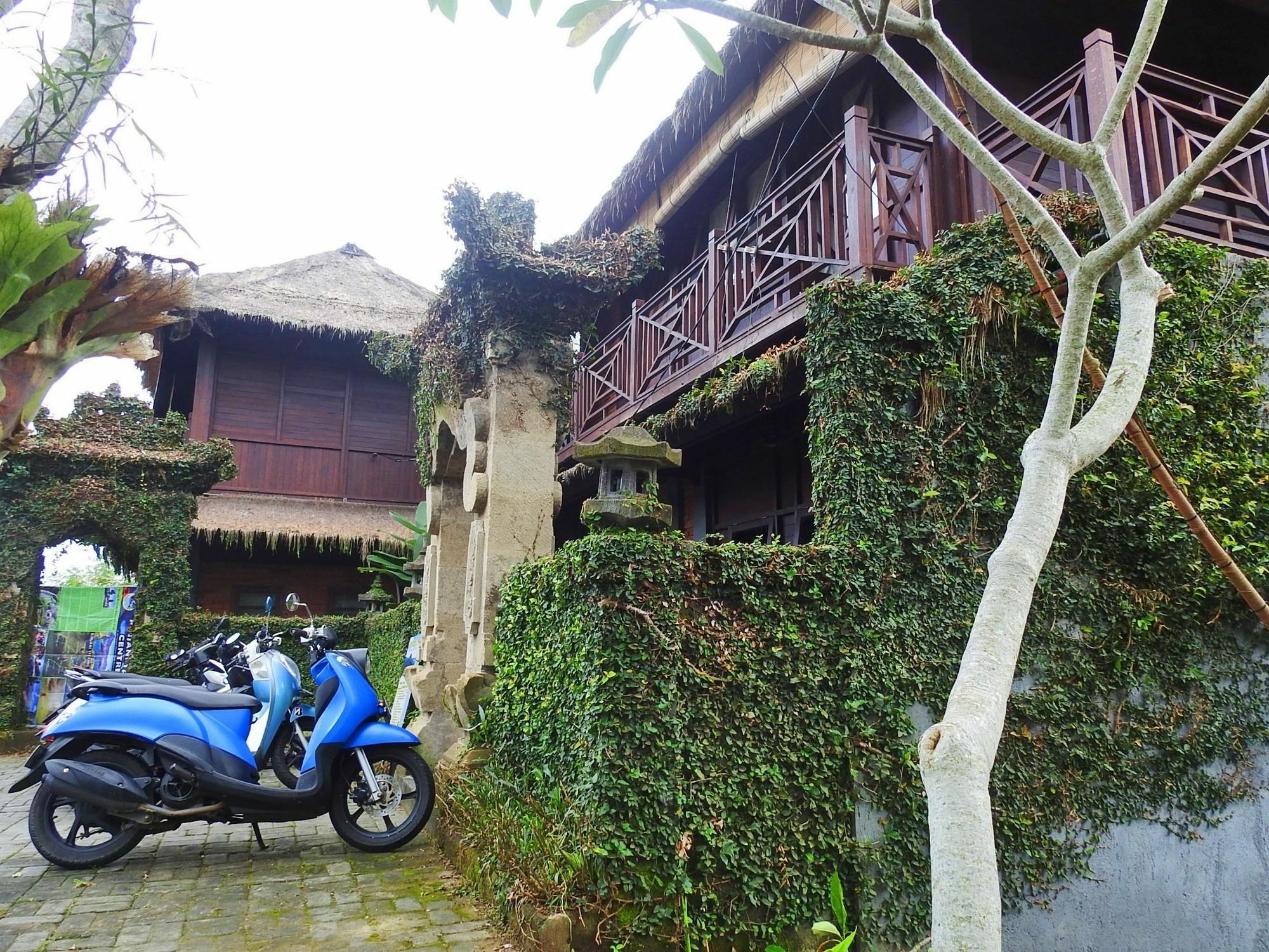 Mandala Hostel Ubud エクステリア 写真